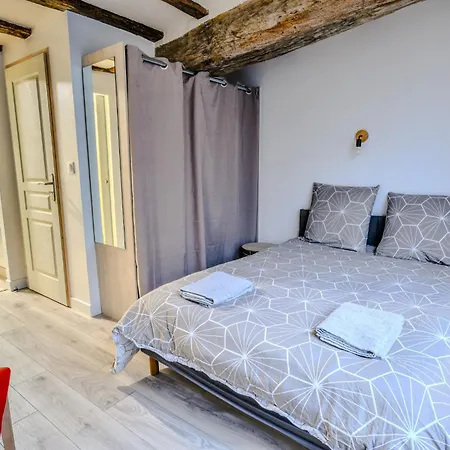 Charming Duplex Near Chateau Wifi Netflix Saumur